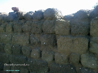 Посёлок Кумак. Июль 2011 года