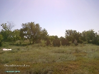 Посёлок Кумак. Июль 2011 года