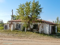 Посёлок Кумак. Август 2023 года