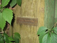 Оренбург после 2000-х годов