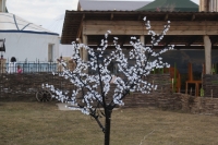 Оренбург после 2000-х годов