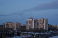 Оренбург после 2000-х годов