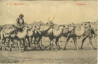 Дореволюционные фотографии Оренбурга