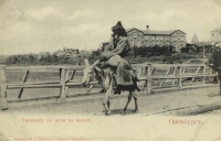 Дореволюционные фотографии жизни и быта народов, живших в Оренбурге и возле него