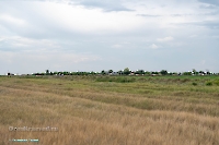 Посёлок Казанча. Июнь 2025 года