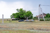 Посёлок Казанча. Июнь 2025 года