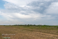 Посёлок Казанча. Июнь 2025 года