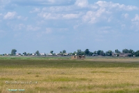 Посёлок Коскуль. Июнь 2025 года