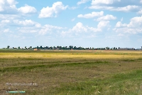 Посёлок Коскуль. Июнь 2025 года