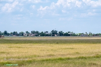 Посёлок Коскуль. Июнь 2025 года