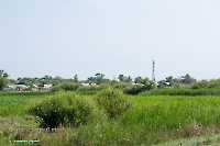 Посёлок Первомайский. Июнь 2025 года