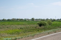 Посёлок Первомайский. Июнь 2025 года