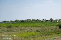 Посёлок Первомайский. Июнь 2025 года