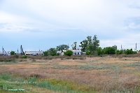 Посёлок Рудниковый. Июнь 2025 года