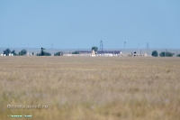 Посёлок Восточный. Июнь 2025 года