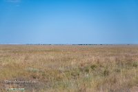 Посёлок Восточный. Июнь 2025 года