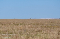 Посёлок Восточный. Июнь 2025 года