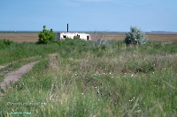 Урочище Пригородный