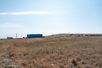 Урочище Пригородный. Июнь 2025 года