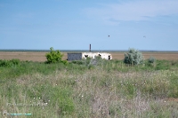 Урочище Пригородный. Июнь 2025 года