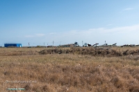 Урочище Пригородный. Июнь 2025 года