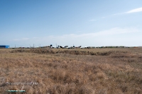 Урочище Пригородный. Июнь 2025 года