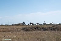 Урочище Пригородный. Июнь 2025 года