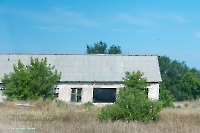 Урочище Пригородный. Июнь 2025 года