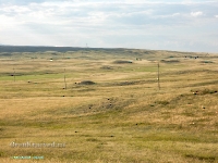 Окрестности посёлка Дубенский. Август 2023 года