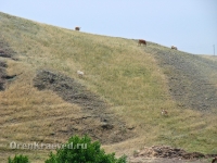 Деревня Ишкинино