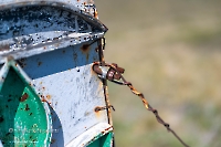 Памятник геологу В.А. Гаряинову на Гирьяльском хребте