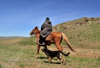 Гайский район