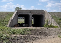 Адамовский район