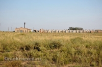 Из жизни Оренбуржья