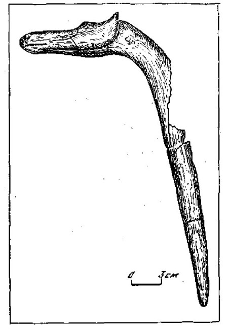 Костяной зооморфный жезл. Турганикская стоянка