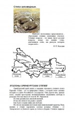 Степи заповедные