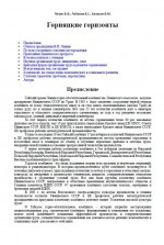 Горняцкие горизонты