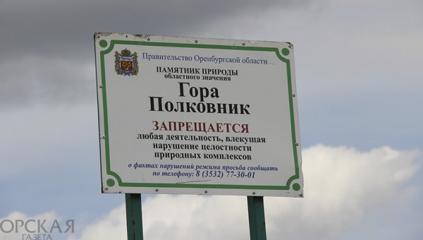 Гора Полковник больше похожа на холм. Лишь по установленной на вершине табличке можно понять, что перед нами памятник природы