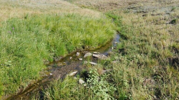 Река Малая Косымка вырывается из одноименного ущелья на степной простор