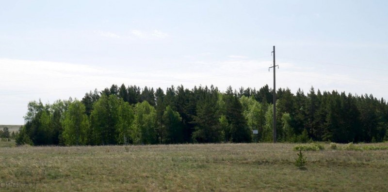 Аландский бор раскинулся на песчаной почве в междуречье Суундука и Каменки