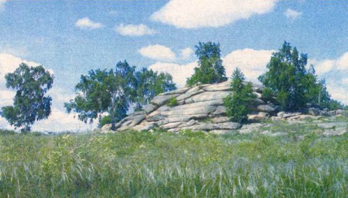 Степь да степь кругом