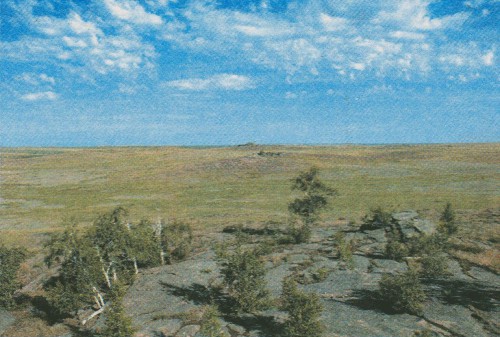 Малый Шонкал