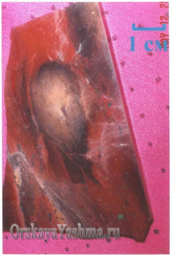 Рис. 36 Портретная яшма «Забытый гений» 2:1