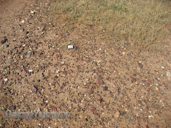 Рис. 7 Россыпь яшмовых галек. Южный склон г. Полковник.