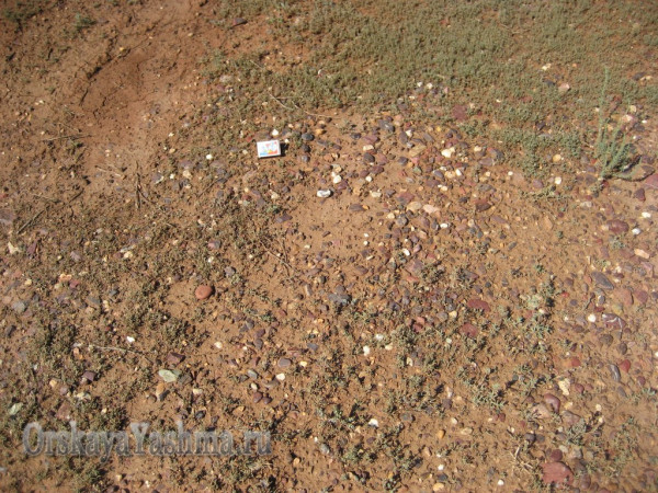 Рис. 8 Галька яшмы. Неогеновая россыпь. Западный склон горы Полковник.