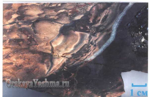 Рис. 46 Пейзажная яшма. «Ущелье»