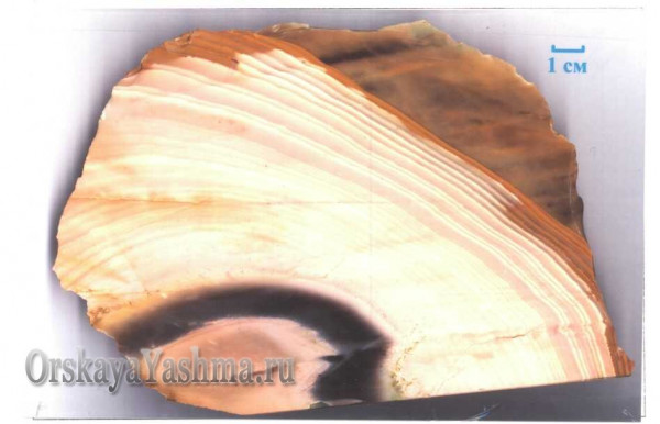 Рис. 14  Яшма агатовидной текстуры