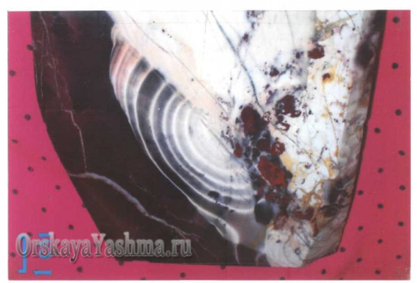 Рис. 17 Яшма конкреционно — брекчиевой текстуры.