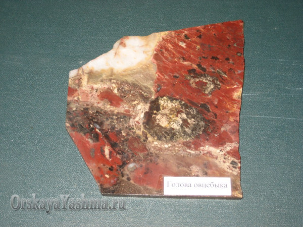 Рис. 26 Портретная яшма. «Голова овцебыка» 1:1