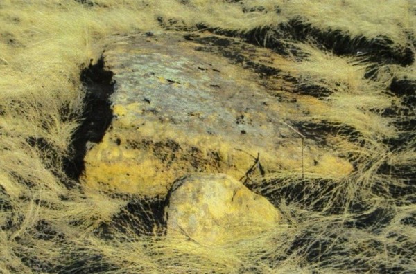 Камень «Черепаха»